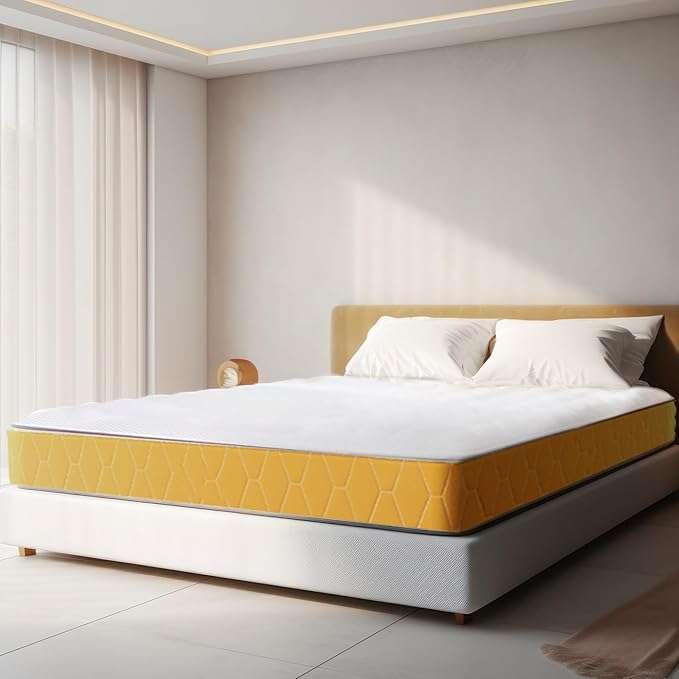 sleepwell dual pro