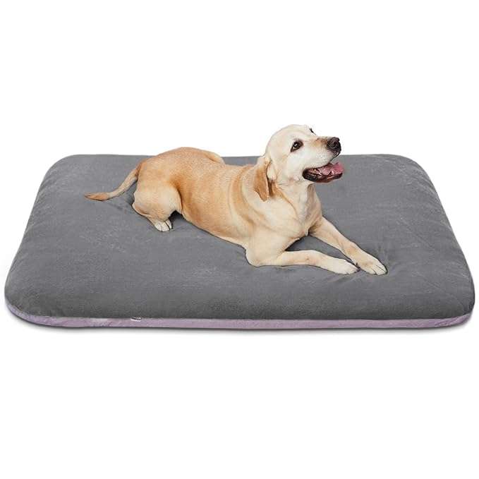 pet mattress