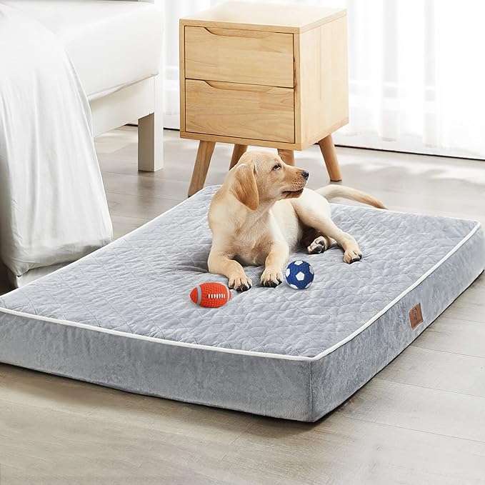 pet mattress