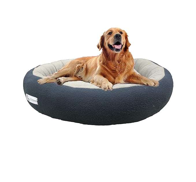 pet mattress