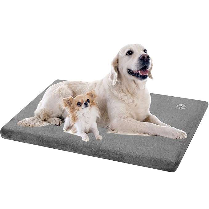 pet mattress