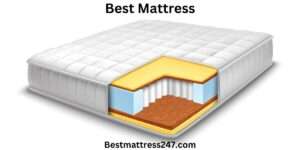 Best-Types-of-Mattress-1